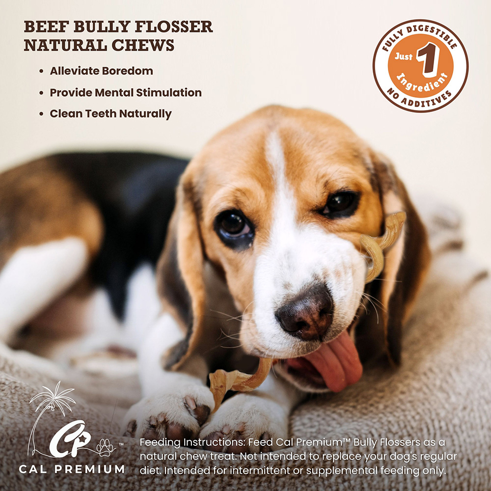 Bully Flossers 7-9" 15 ct - Image 5