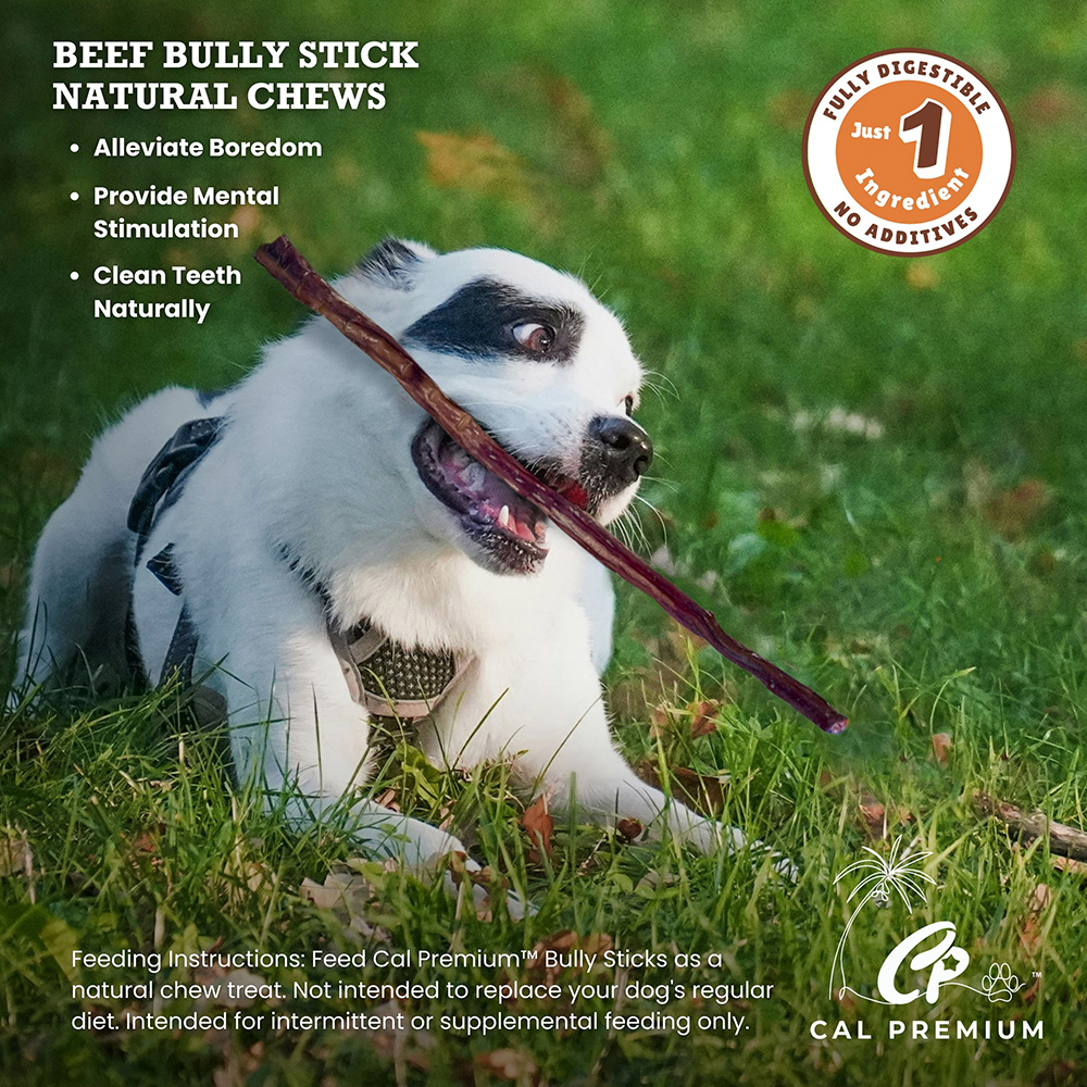 Bully Sticks 17-18" 18 ct - Image 5
