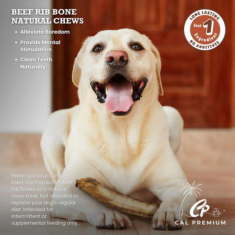 Beef Rib Bones 10-12" 20 ct - Image 5