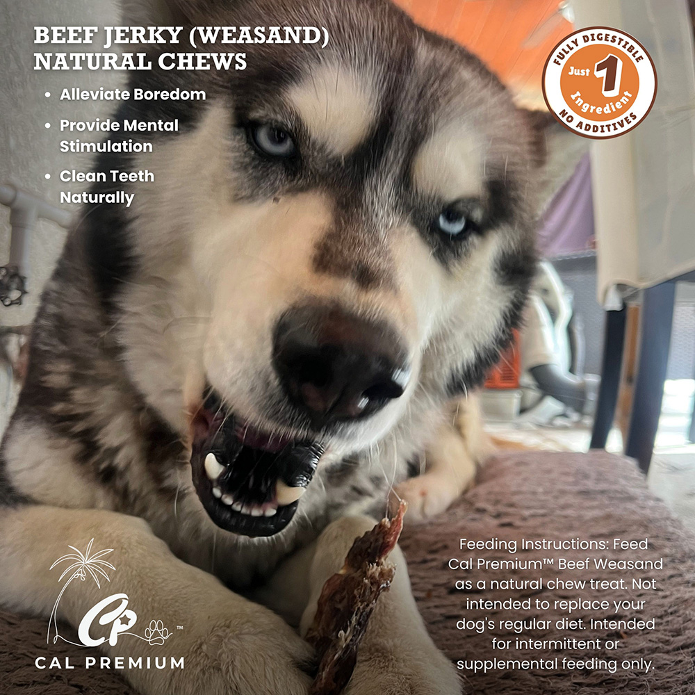 Beef Jerky (Weasand) 2-3" 5-6 ct - Image 4