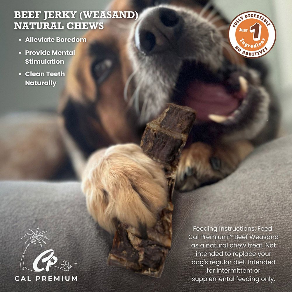 Beef Jerky (Weasand) 5-7" 35 ct - Image 3