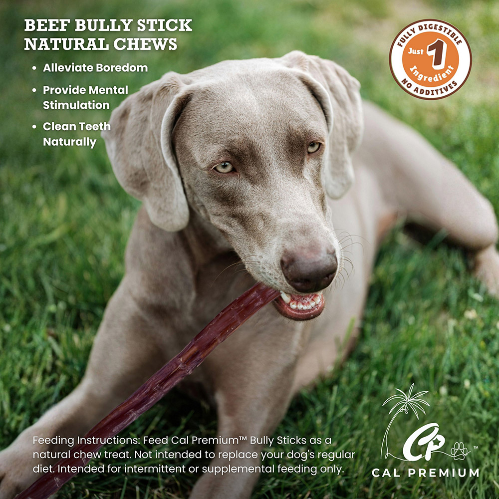 Jumbo Bully Sticks 17-18" 12 ct - Image 4