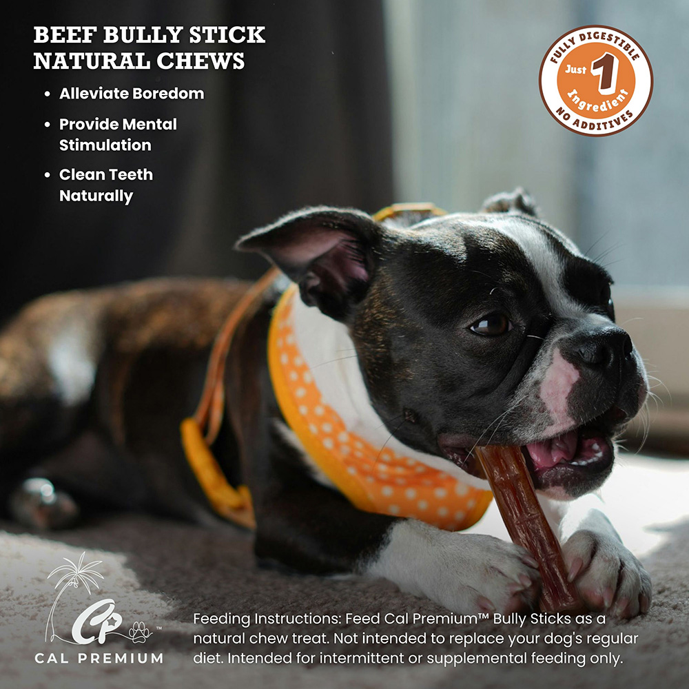 Jumbo Bully Sticks 5-7" 35 ct - Image 5