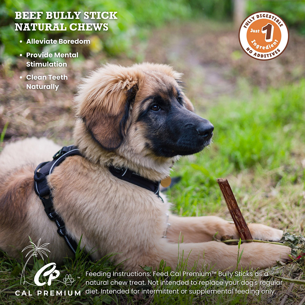 Jumbo Bully Sticks 9-11" 25 ct - Image 5