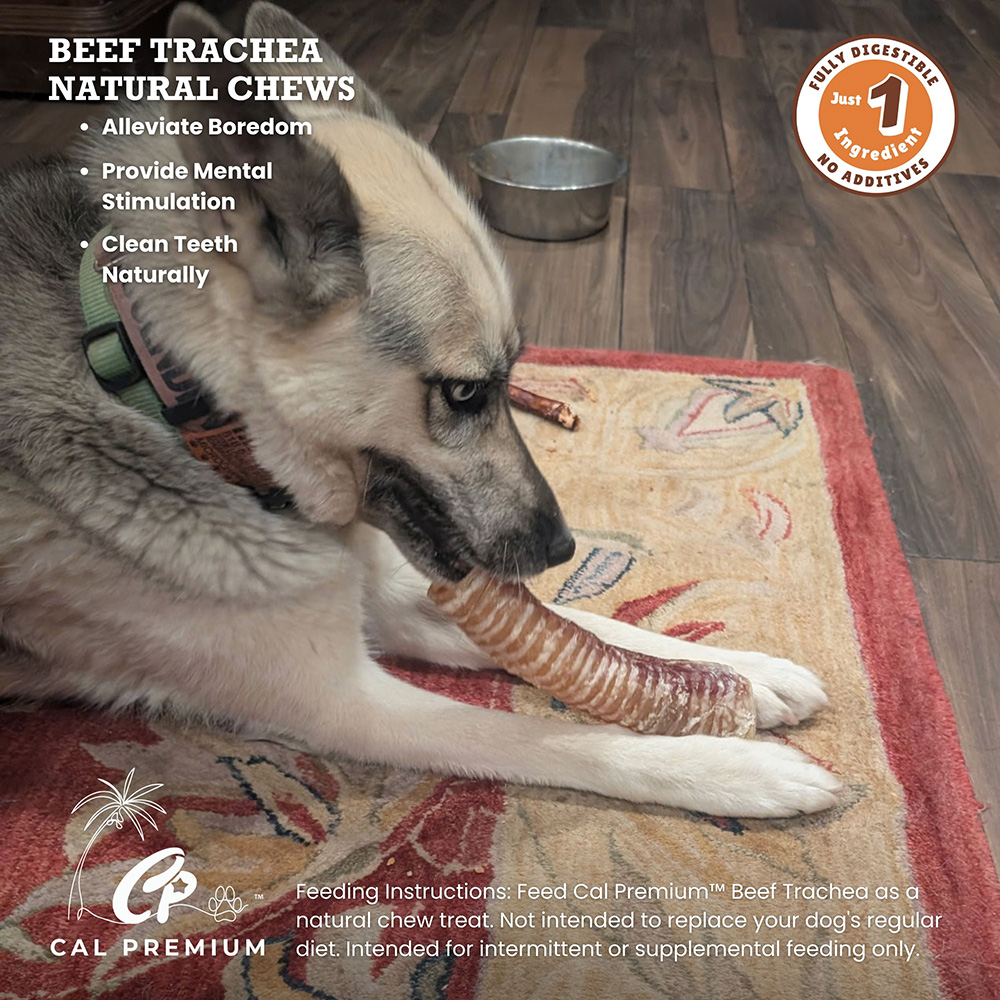 Beef Trachea 9-11" 10 ct - Image 5
