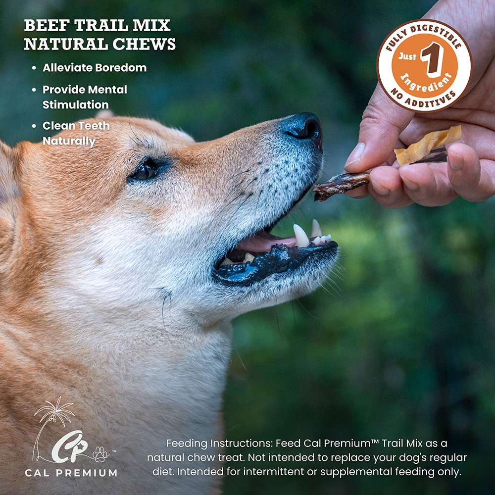 Trail Mix - Assorted Chews 3.2 oz - Image 4