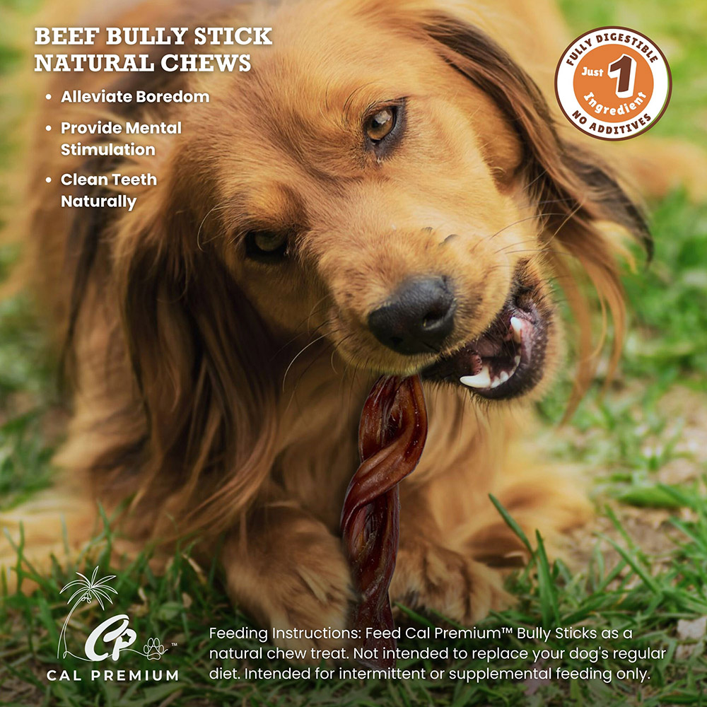 Twisted Bully Sticks 5-7" 20 ct - Image 4