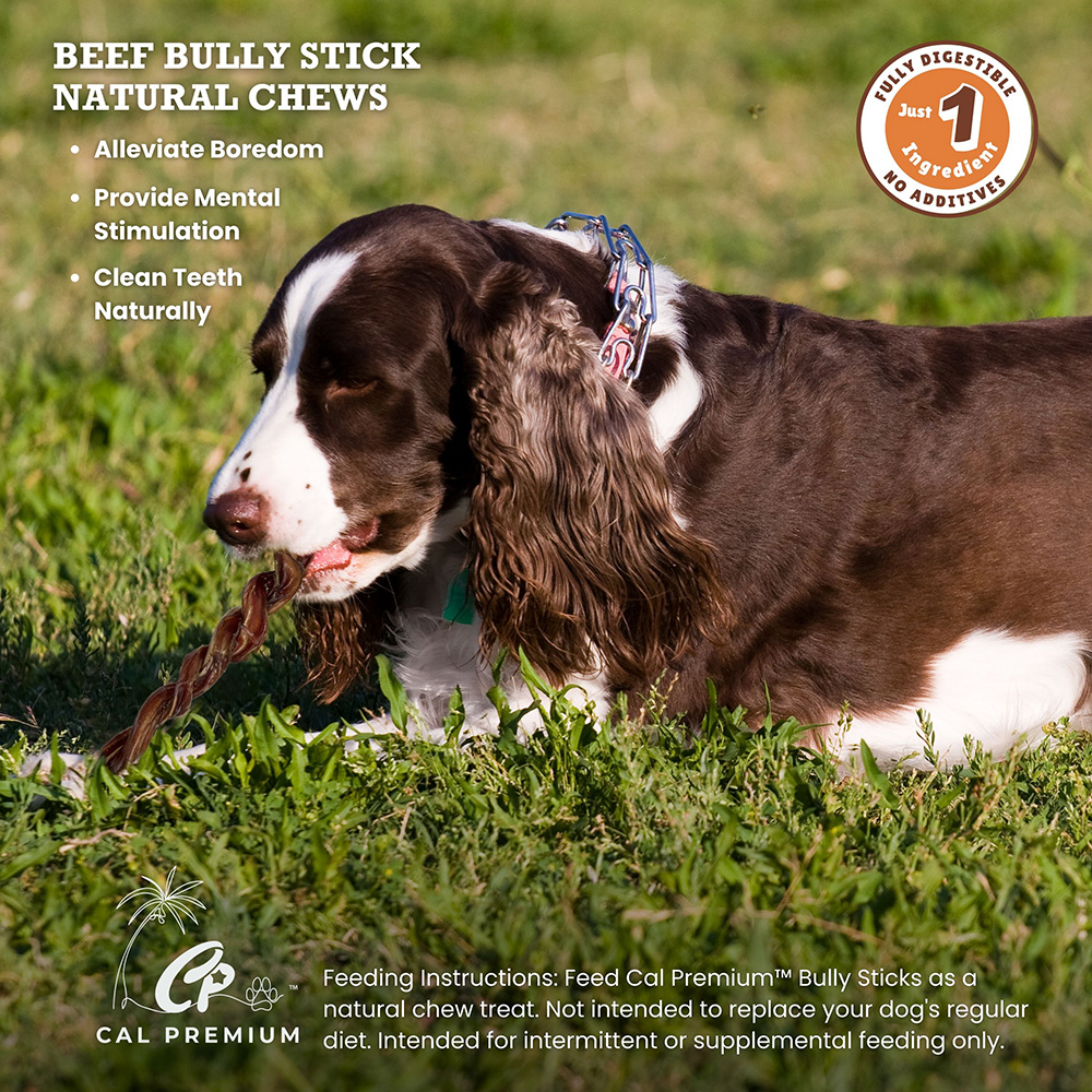 Twisted Bully Sticks 9-11" 15ct - Image 5