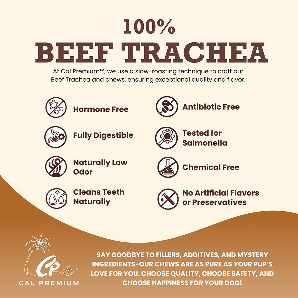 Beef Trachea 9-11" 10 ct - Image 4