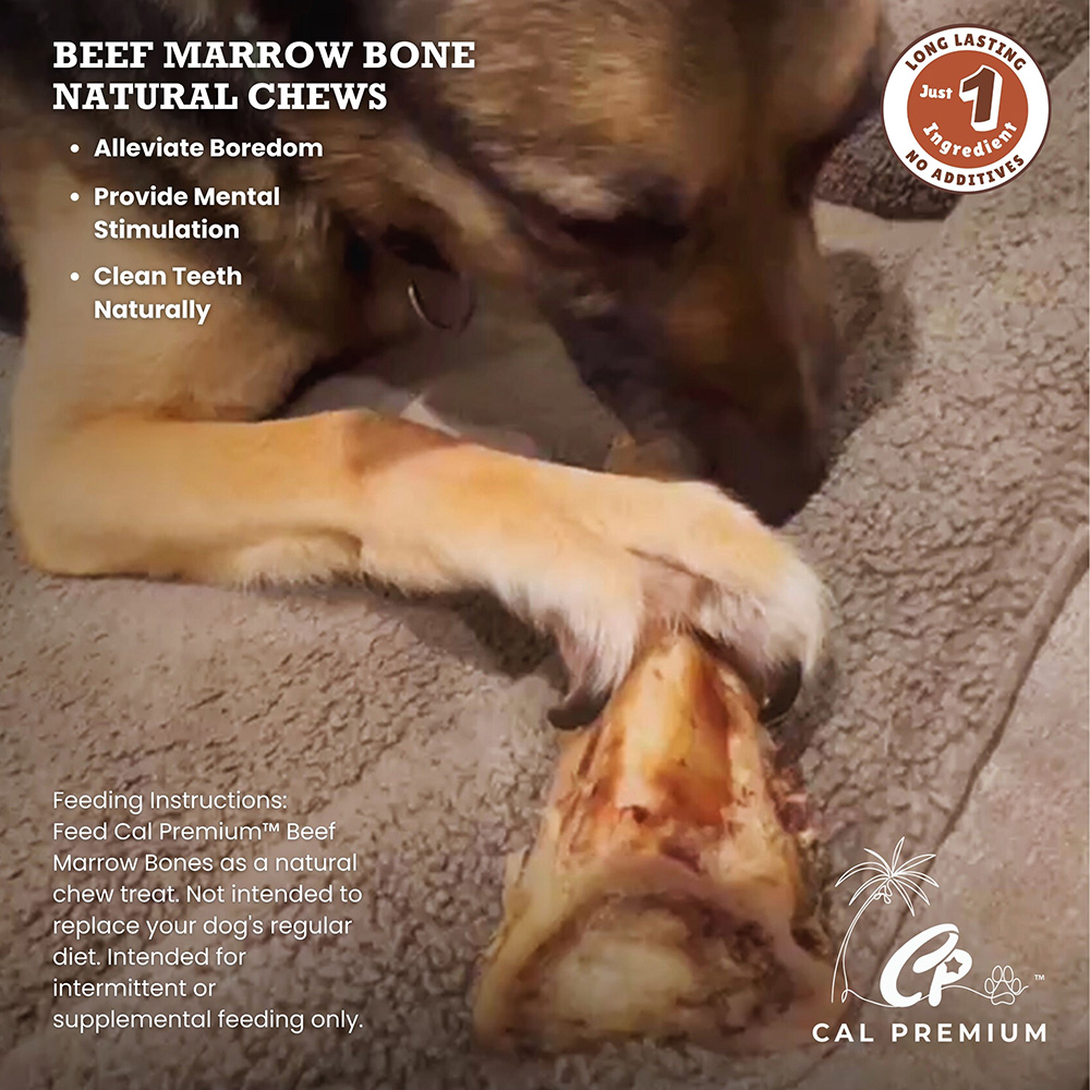 Jumbo Marrow Center Bones 6-7" 20 ct - Image 5