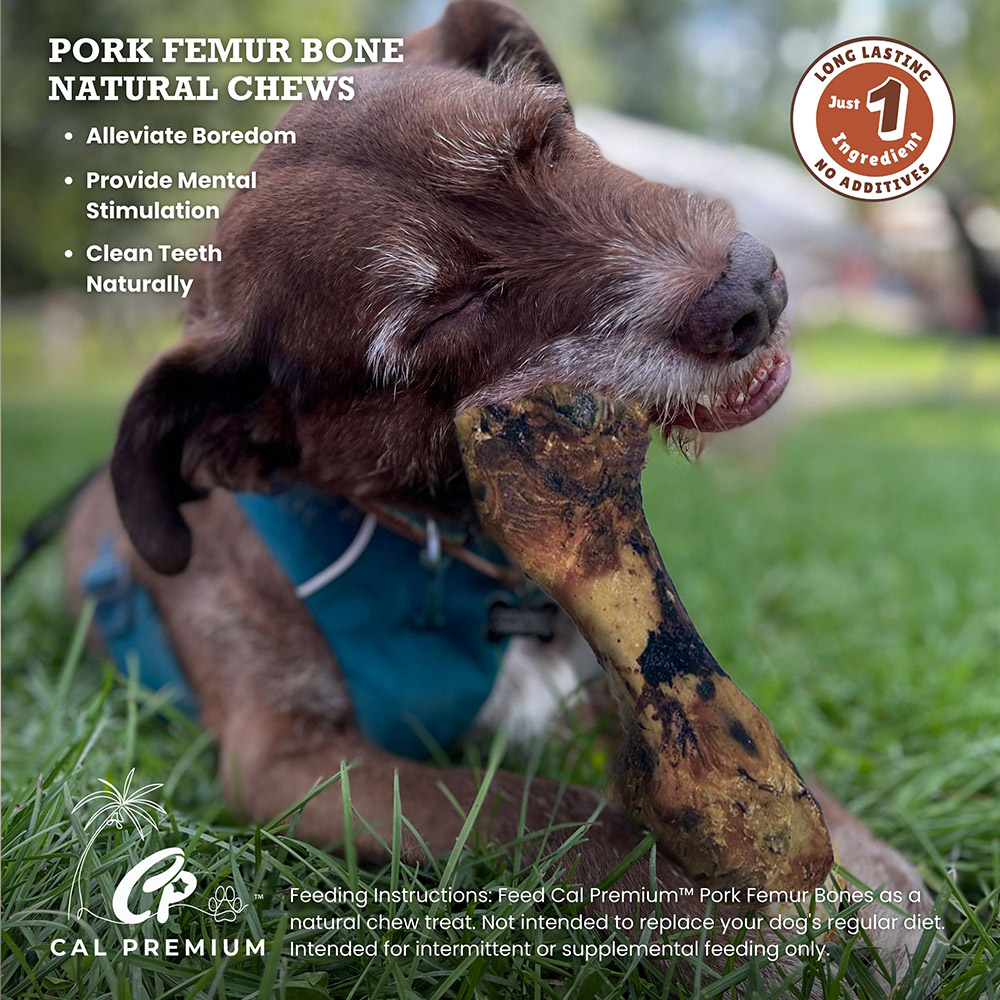 Pork Femur Bones 5-7" 20 ct - Image 5