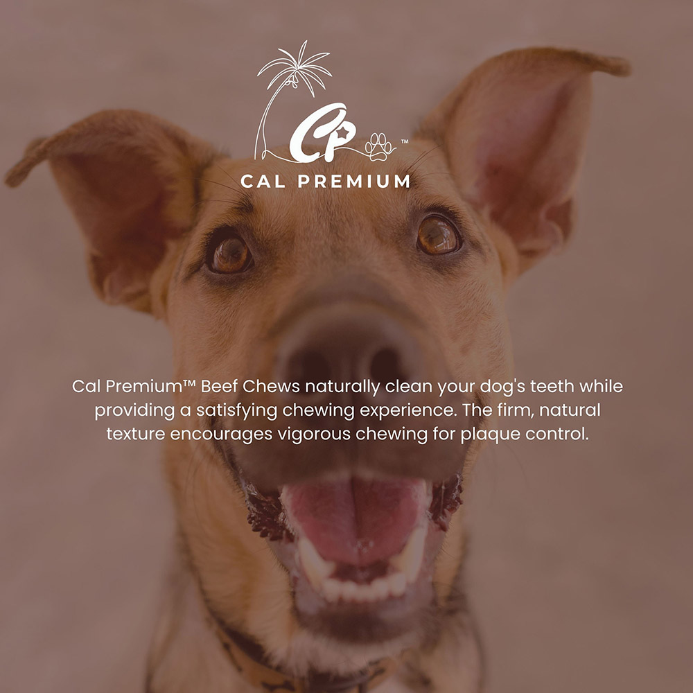 Tripe Strips 4-6" 4-5 ct - Image 5