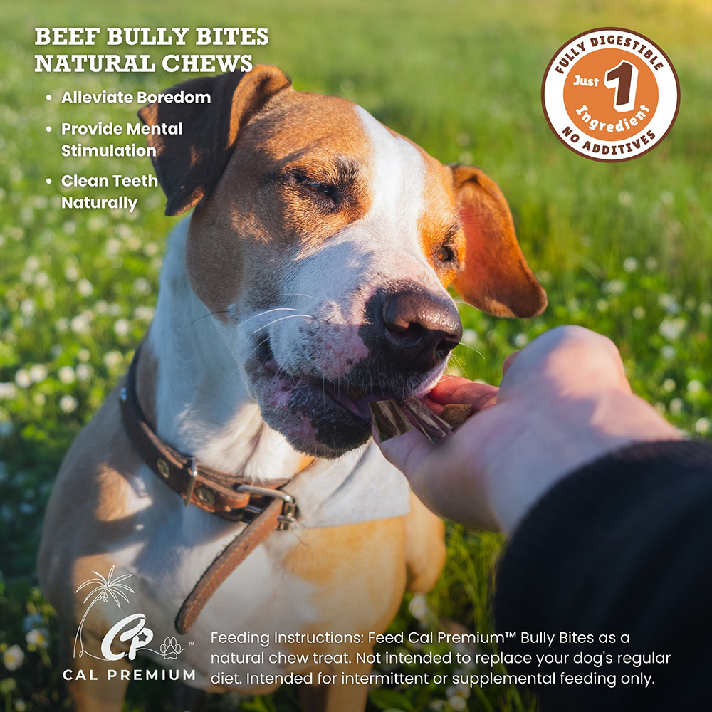 Bully Bites 2-3" 1lb Value Bag - Image 4