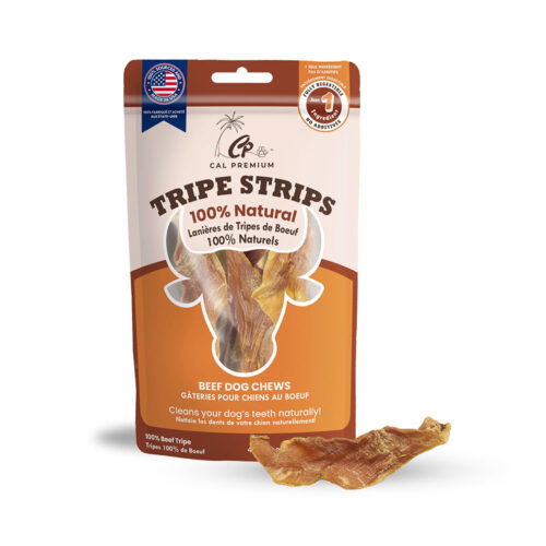 Best Dog Chews
