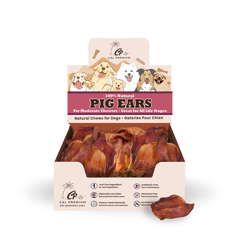 Pig Ears 10 ct