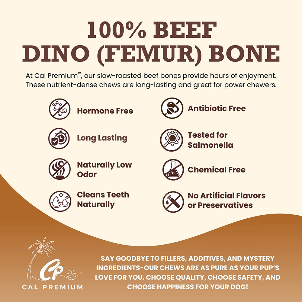 Dino Bone (Whole Femur) 5ct - Image 3
