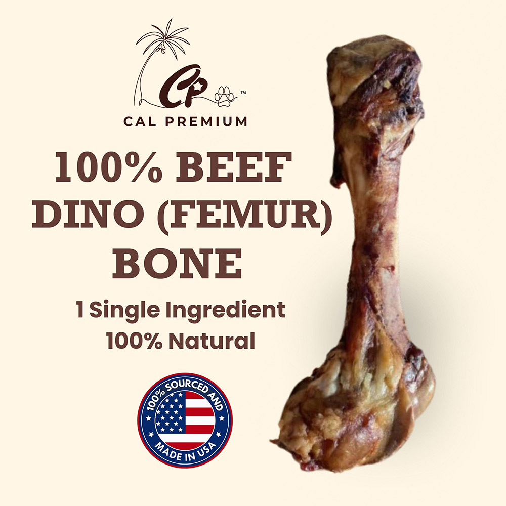 Dino Bone (Whole Femur) 5ct - Image 2
