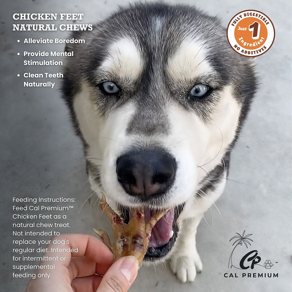 Chicken Feet - Image 4