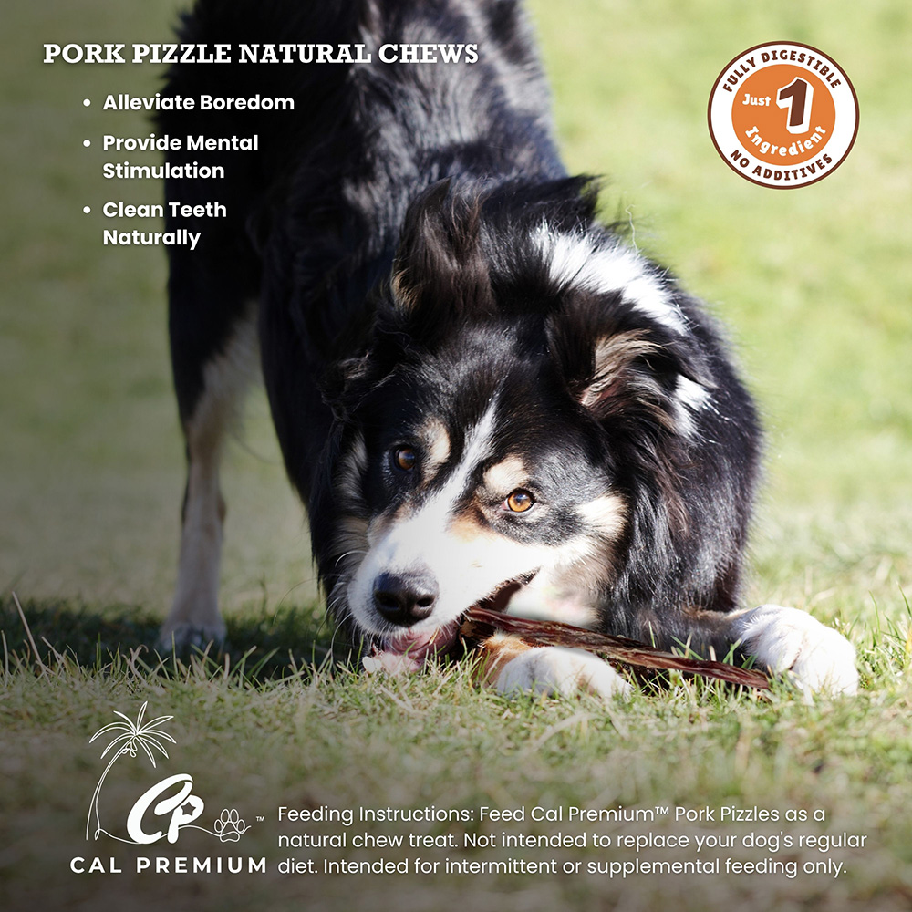Pork Pizzle 10-12" - Image 4