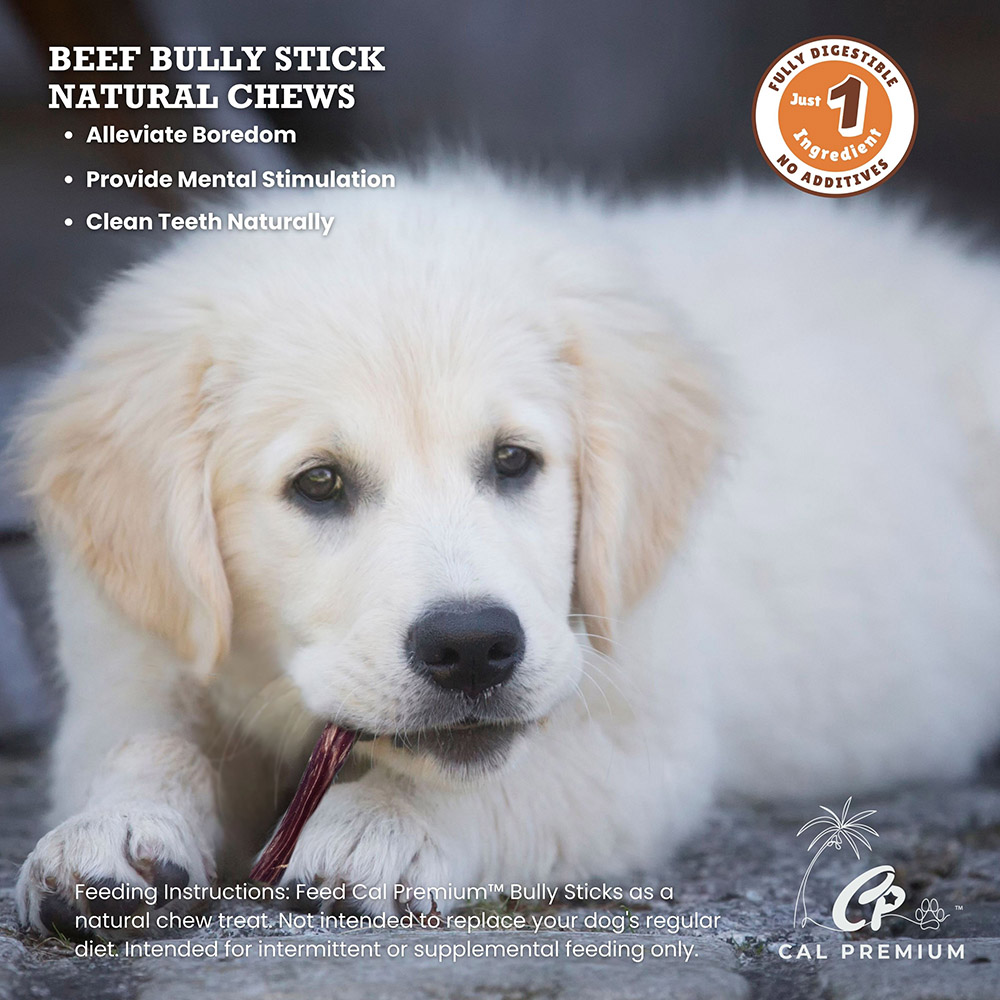 Bully Sticks 2-4" 3 ct - Image 4