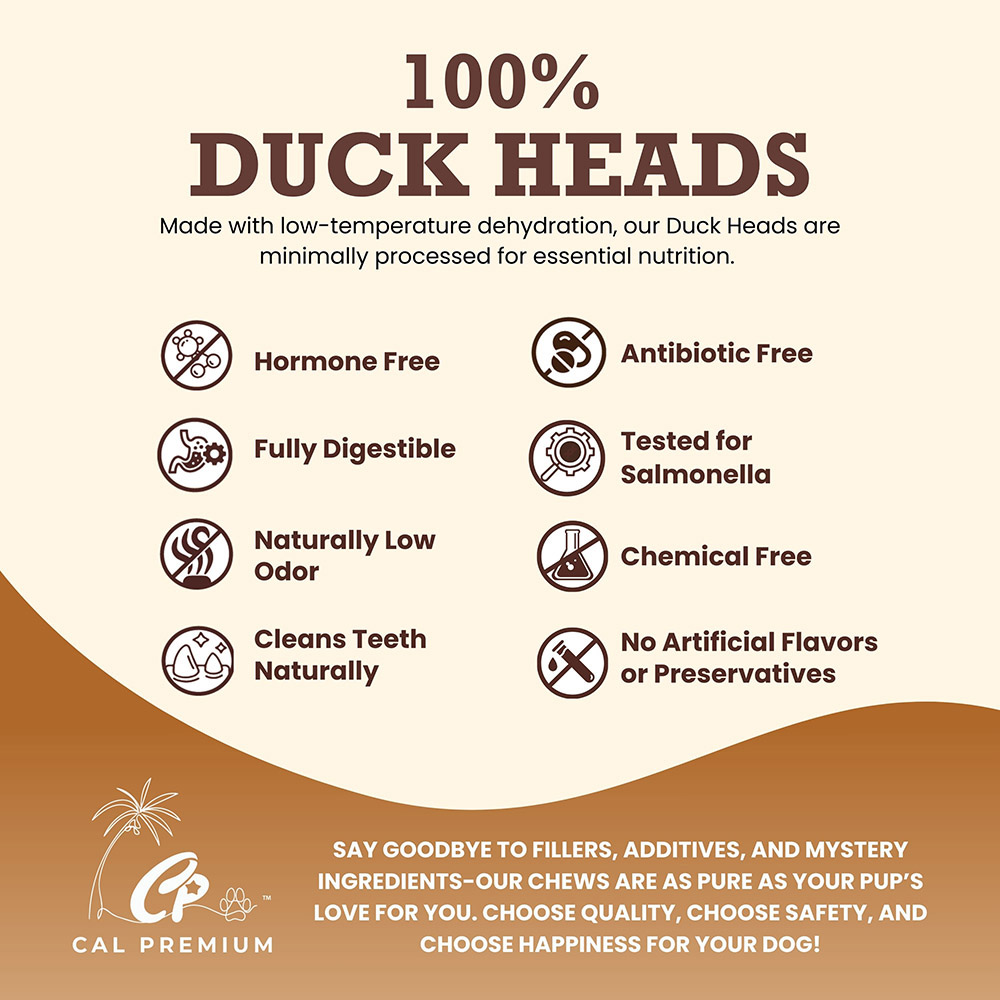 Duck Heads - Image 3
