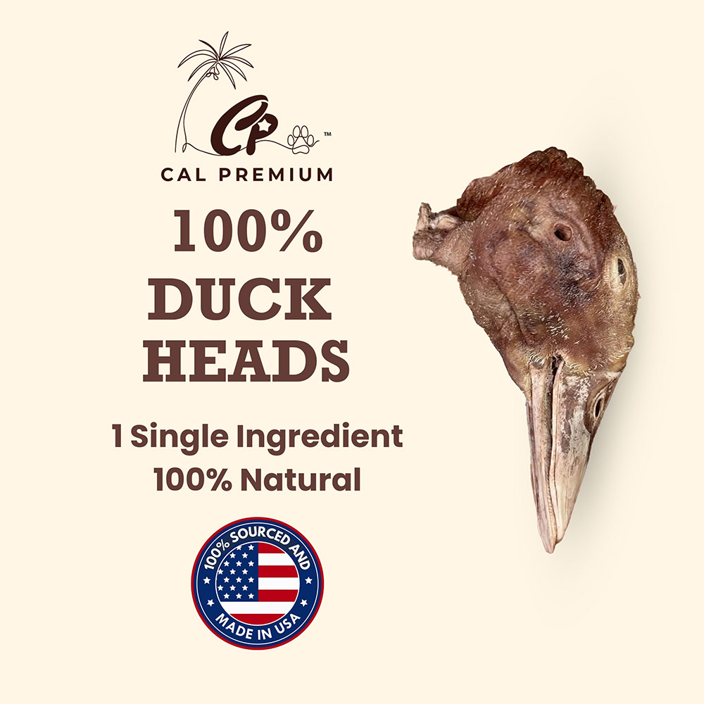 Duck Heads - Image 2