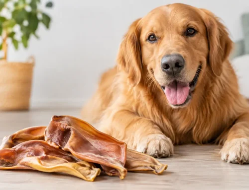 Pork Pizzles: A Natural Chew for Happy Dogs